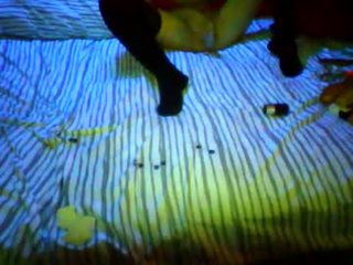 youwanttof horny couple adores fucking online