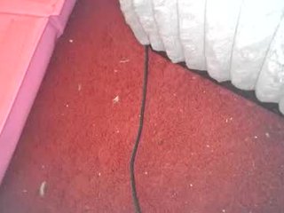 gamerbod9949596 horny couple adores fucking online